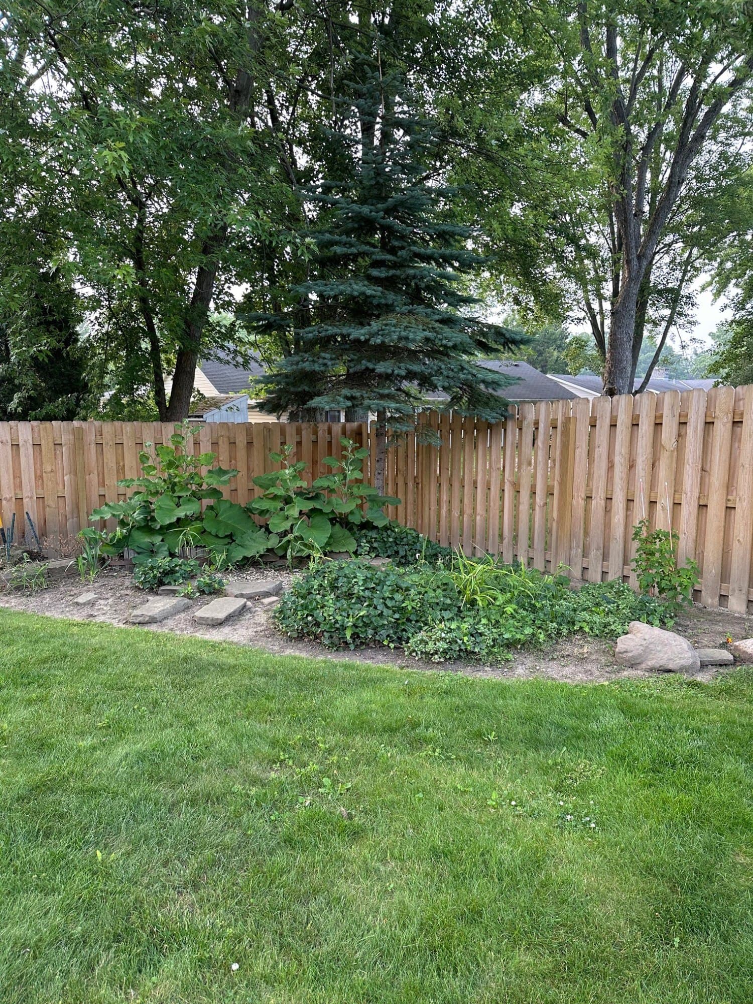 Weathered unstained shadowbox fence behind a garden bed, before