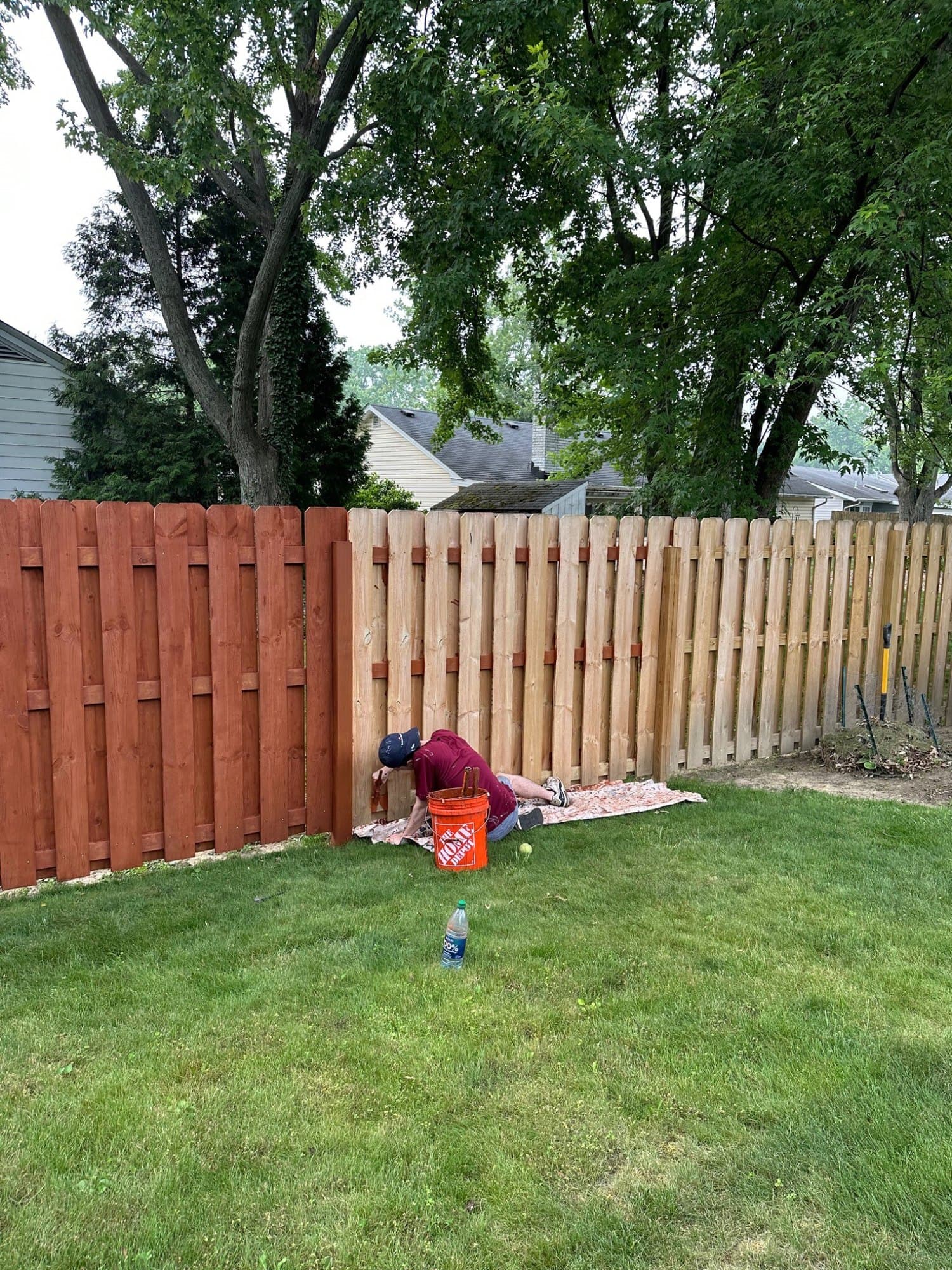 Fence half stained reddish-brown with a painter staining the lower boards