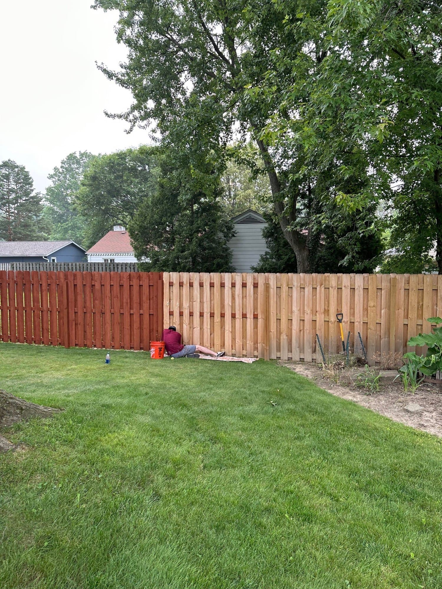 Wide view of the fence partway through staining